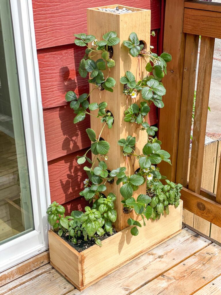 Strawberry Planter Plans